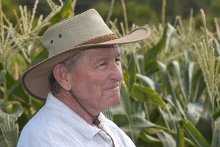 James Brewbaker standing in corn